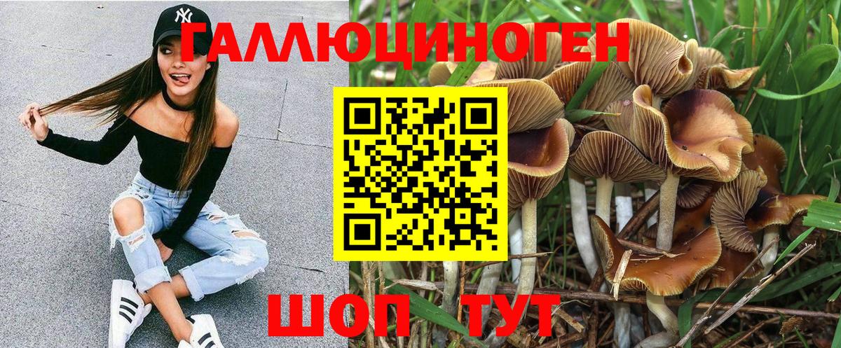 наркотики  Галлюциногенные грибы прущие грибы  Вход с VPN  Гусев 